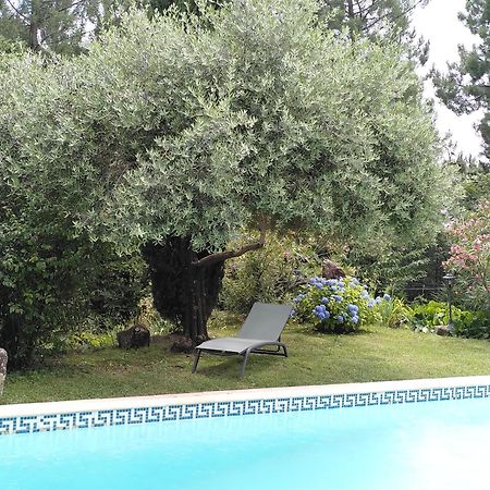 Brin D Ardeche Bed & Breakfast Lentilleres Eksteriør bilde