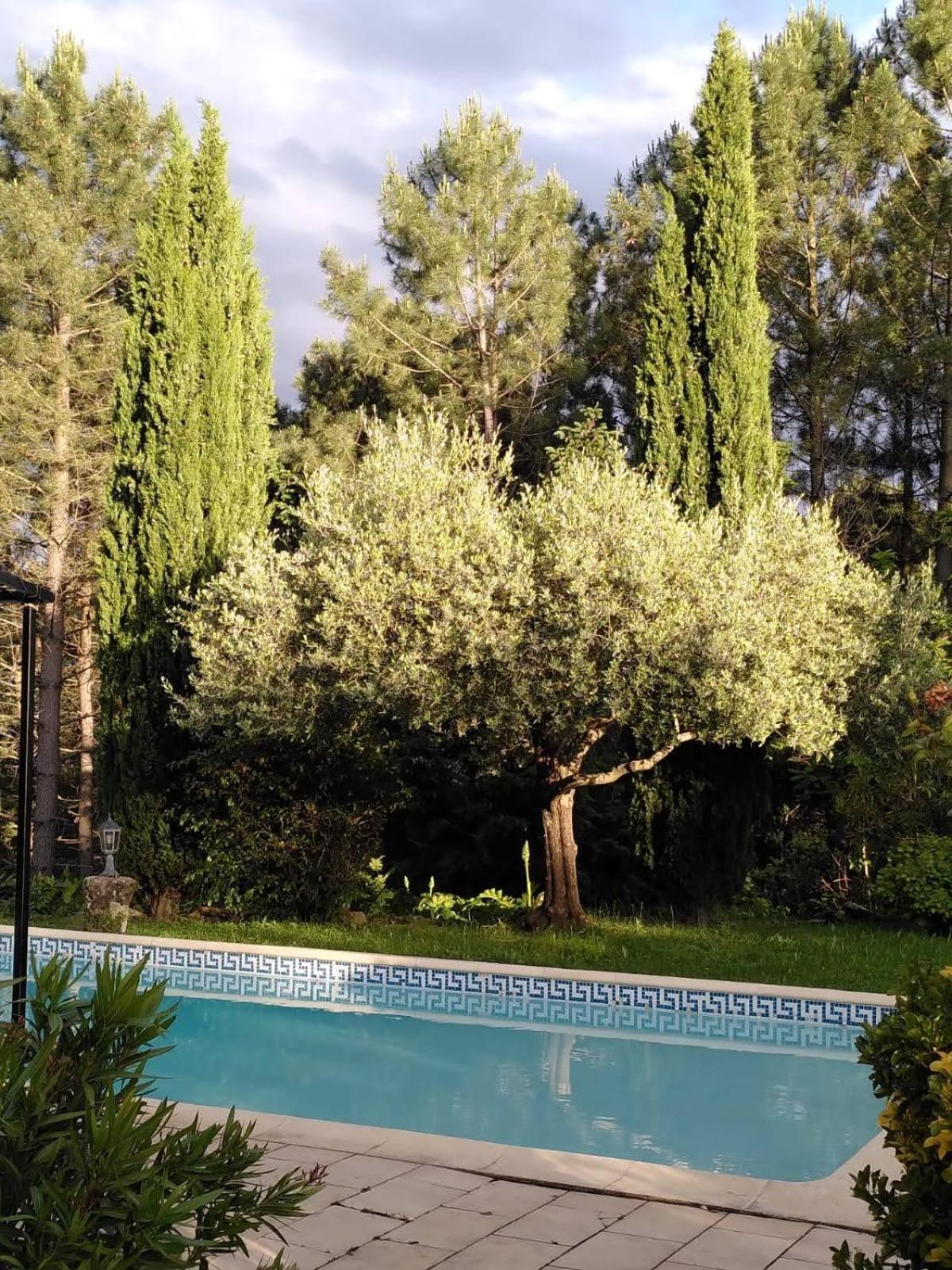 Brin D Ardeche Bed & Breakfast Lentilleres Eksteriør bilde