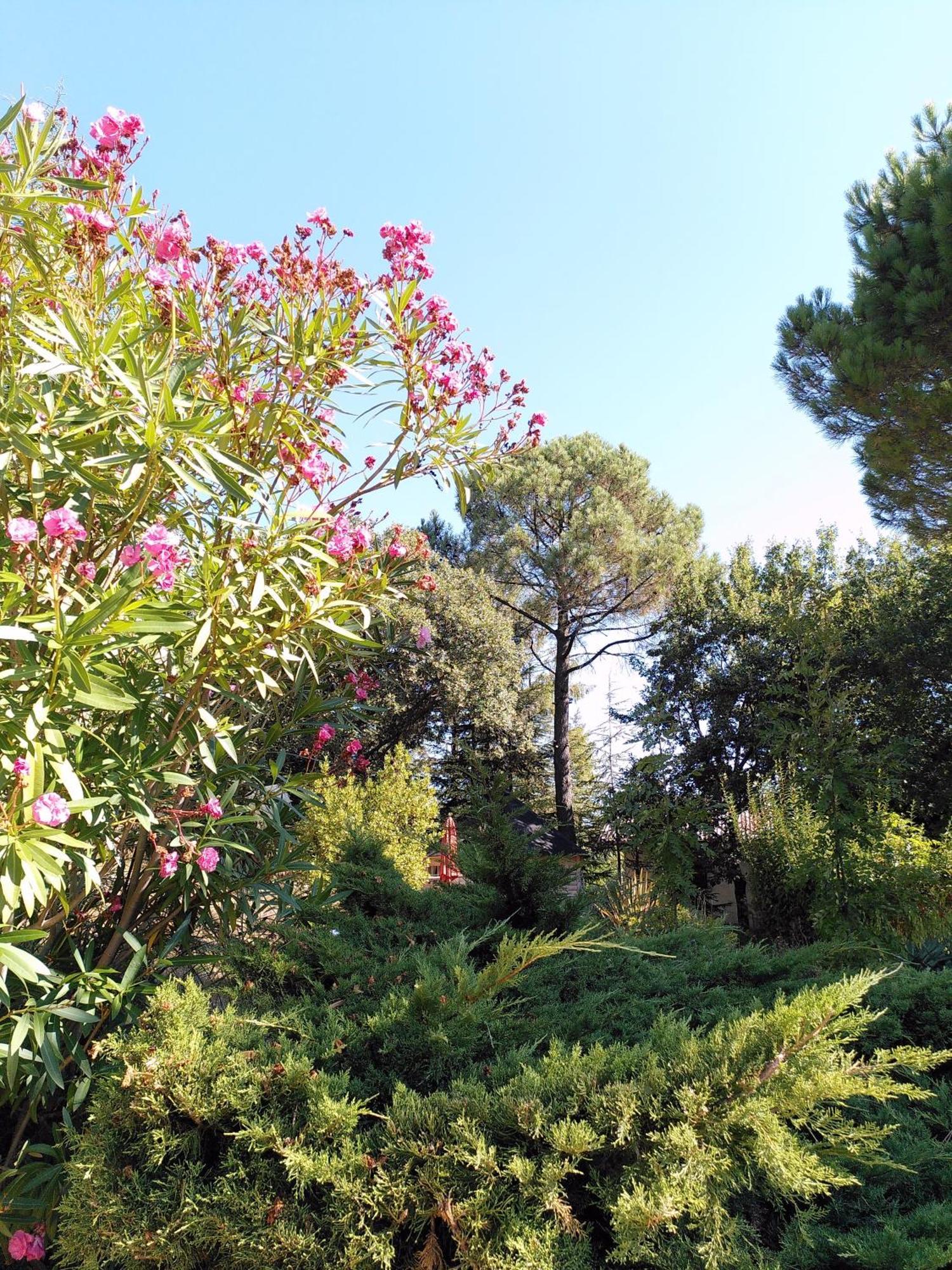 Brin D Ardeche Bed & Breakfast Lentilleres Eksteriør bilde